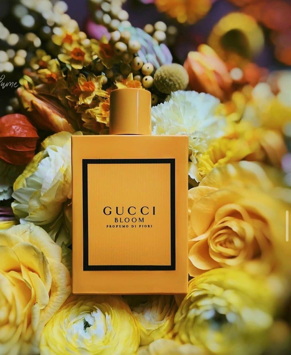 Nước Hoa Gucci Bloom Di Fiori Eau De Parfum 100ml